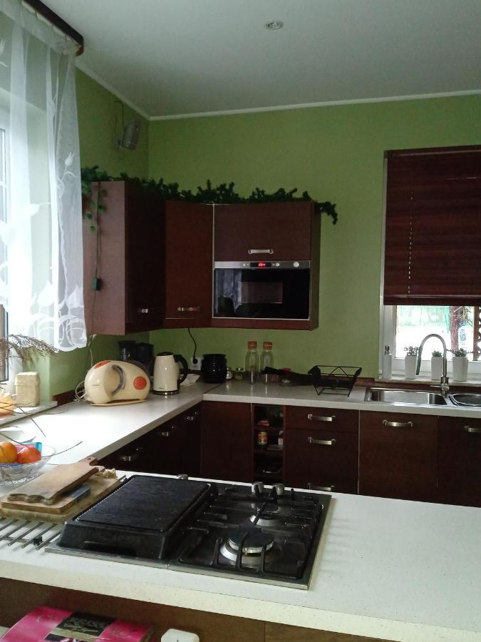 Lesna Ostoja Nad Pilica Βίλα Lechanice Εξωτερικό φωτογραφία