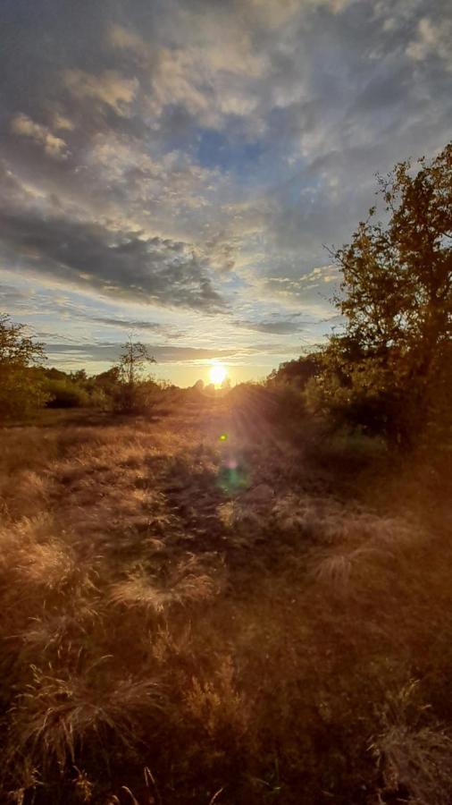 Lesna Ostoja Nad Pilica Βίλα Lechanice Εξωτερικό φωτογραφία