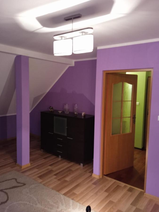 Lesna Ostoja Nad Pilica Βίλα Lechanice Εξωτερικό φωτογραφία