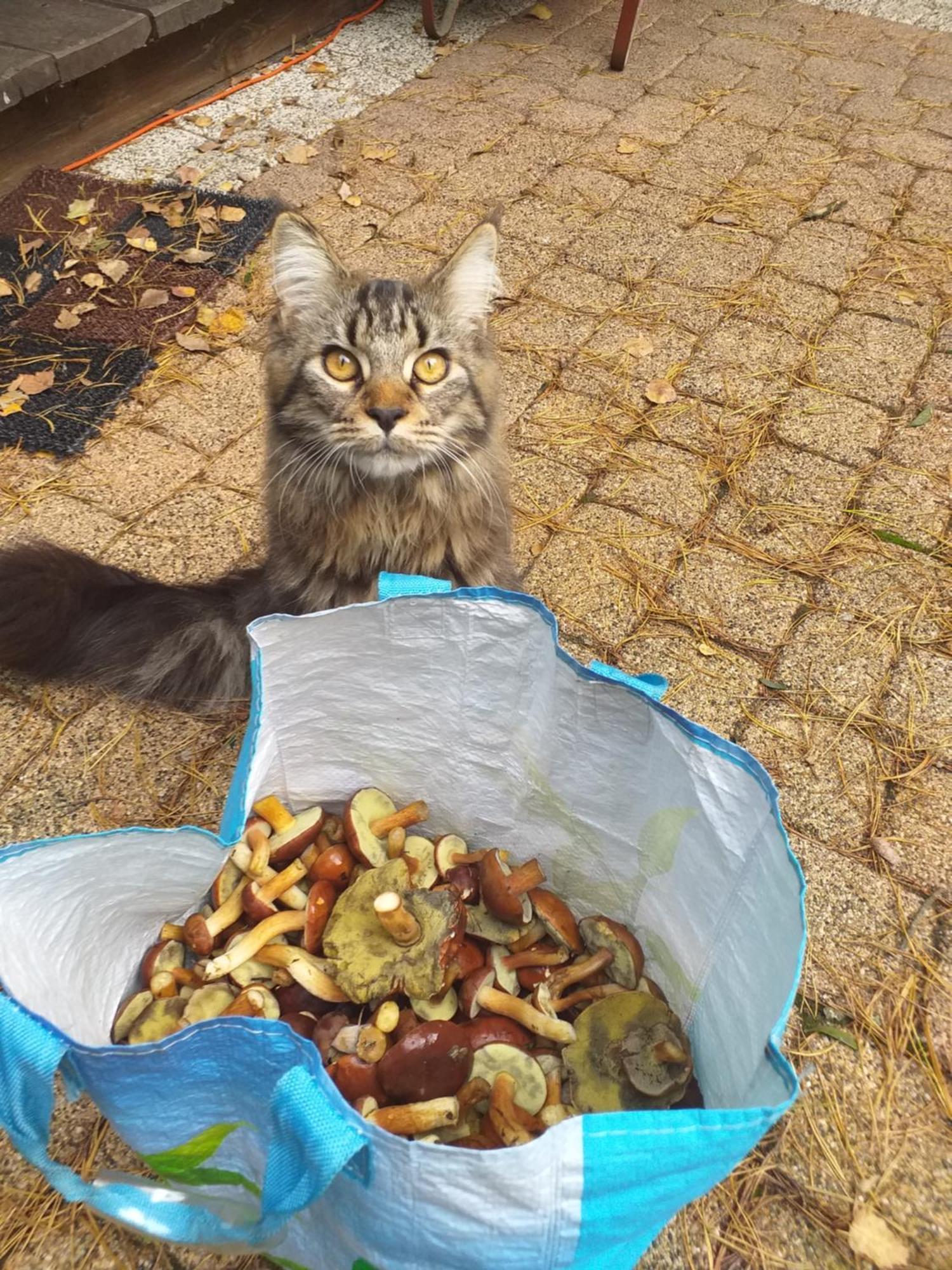 Lesna Ostoja Nad Pilica Βίλα Lechanice Εξωτερικό φωτογραφία